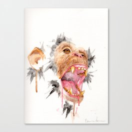 Monkey Don't Cry (1) Canvas Print