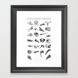 Animal Skull Alphabet Framed Art Print