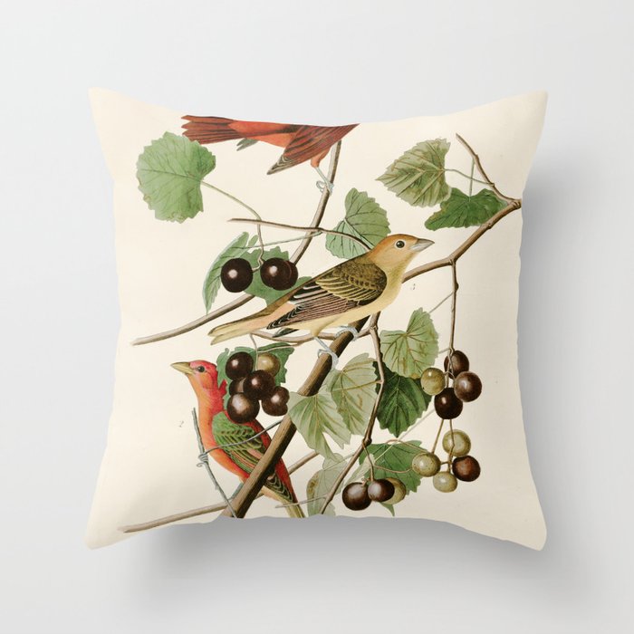 Summer Red Bird - John James Audubon's Birds of America Print Throw Pillow