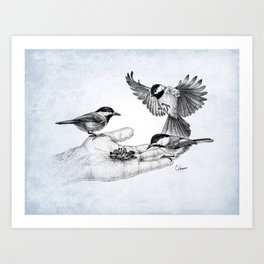 Chickadees Hand Feeding Art Print