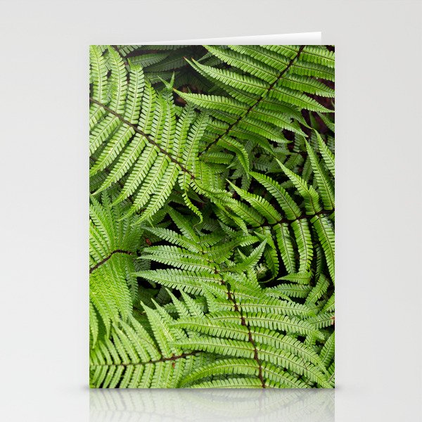 Wood Fern in a Pacific Northwest Washington Forest Stationery Cards