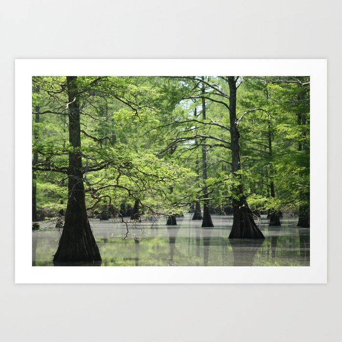 Art Print