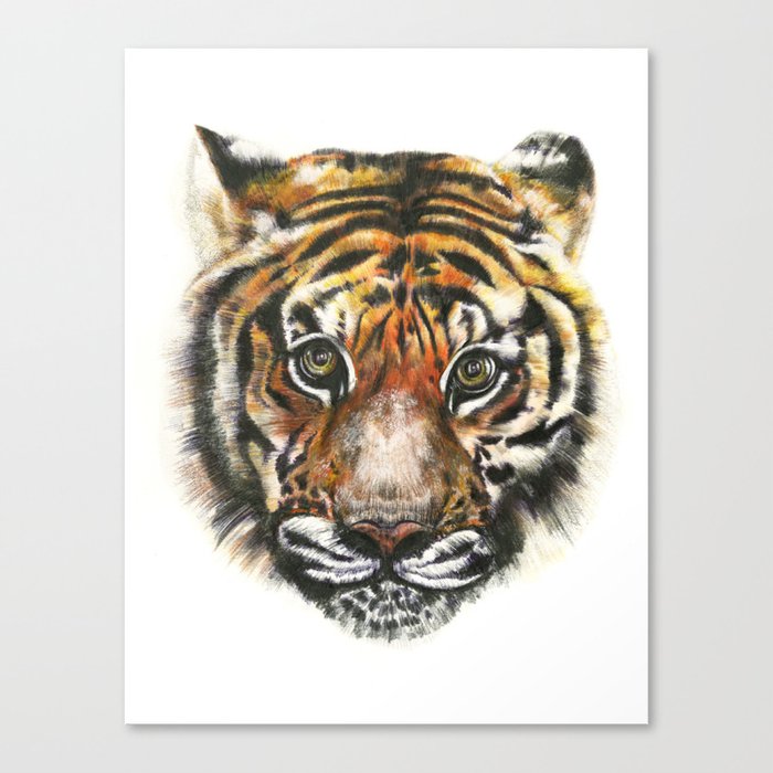 Tiger! Canvas Print