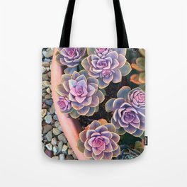 echeveria planter Tote Bag