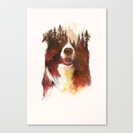 One night in the forest Canvas Print