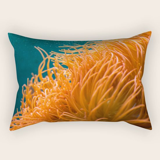 Aquarium Rectangular Pillow