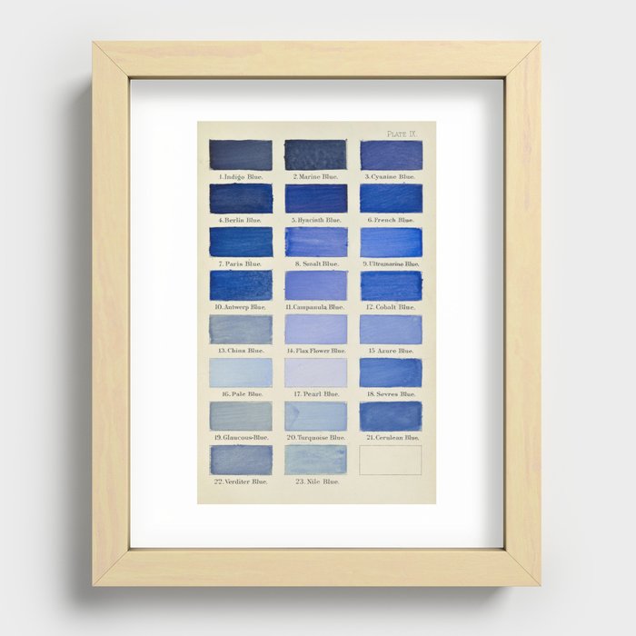 Plate IX (Blue) Recessed Framed Print