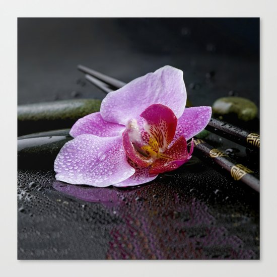 Pink orchid zen black still life Asia Canvas Print