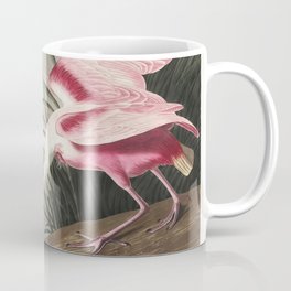 Roseate Spoonbill from Birds of America (1827) by John James Audubon etched by William Home Lizars Coffee Mug