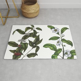 Caffeine Botanicals Rug
