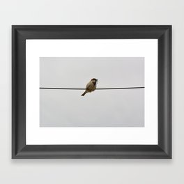 birdie on the wire Framed Art Print