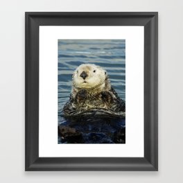 Sea Otter Framed Art Print
