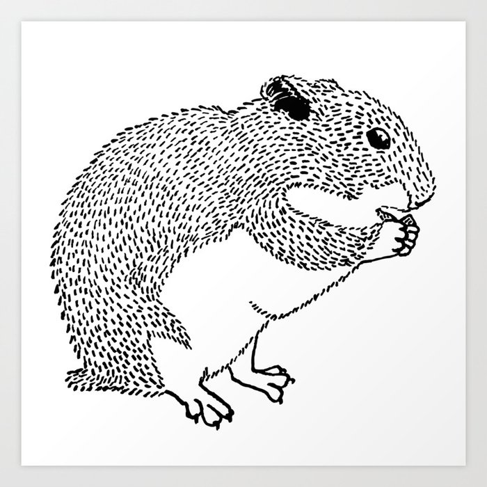 Hungry Hamster Eating A Seed Art Print