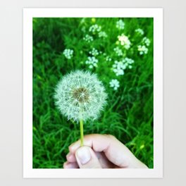 Dandelions and dreams Art Print | Huawei, Greenwich, Spring, Dientedeleon, Flower, White, Green, Digital, Street, Photo 