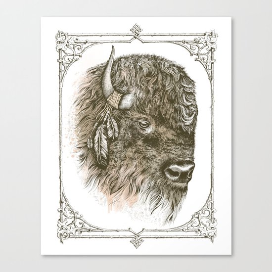 Portrait of a Buffalo Canvas Print