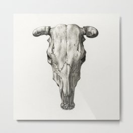 1816 Vintage Cow Skull Illustration  Metal Print | Western, Vintage, Desert, Southwest, Rustic, Fixerupper, Texas, Drawing, Farmhouse, Cow 