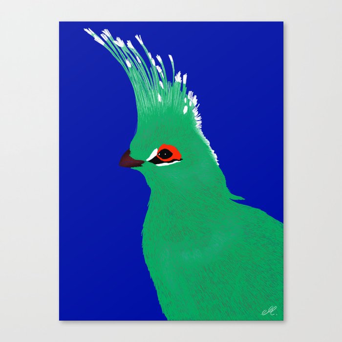 Turako blue and green Canvas Print