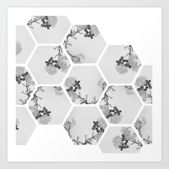 Hexagon Flowers. Art Print