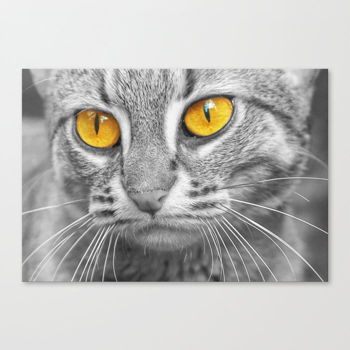 RUSTY SPOTTED CAT Canvas Print