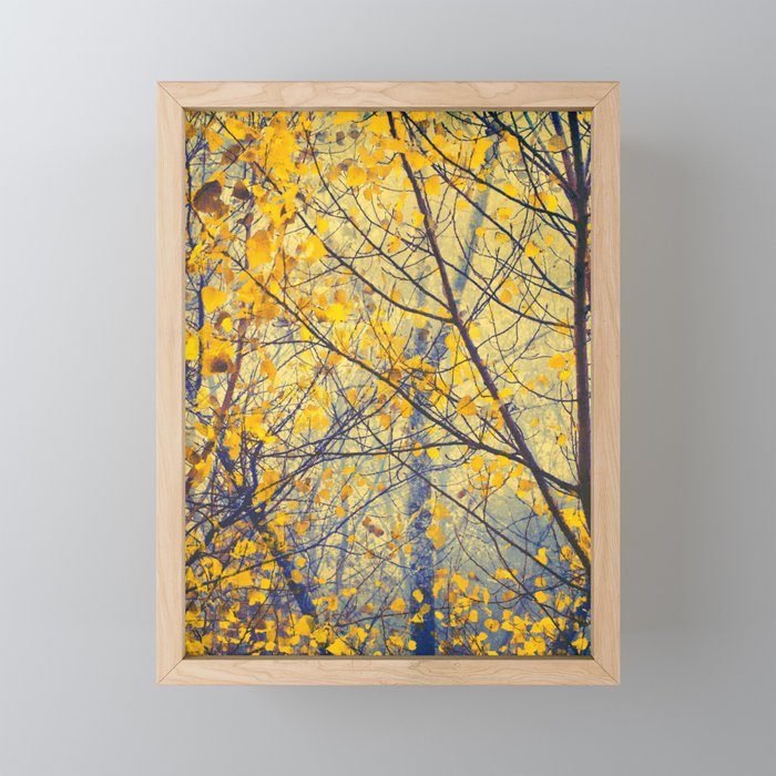 Fall Trees IX - Yellow Leaves - Autumn Forest - Woodlands Photography by Ingrid Beddoes Framed Mini Art Print
