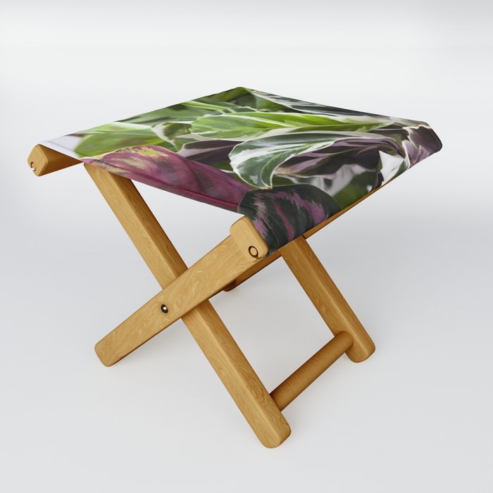 Prayer Plants II  |  The Houseplant Collection Folding Stool