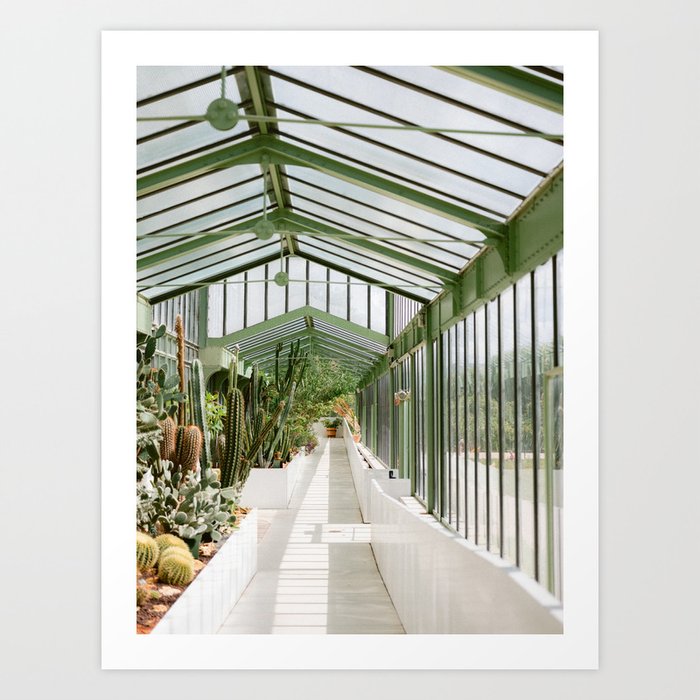 Botanical gardens of Paris | France travel photography | Greenhouse Art Print