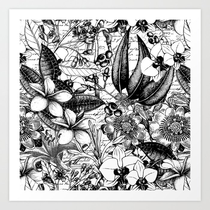 Black And White Tropical Flower Pattern Art Print