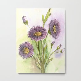 Purple Aster Flowers Watercolor Painting Metal Print