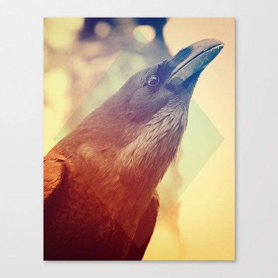 Crow Canvas Print