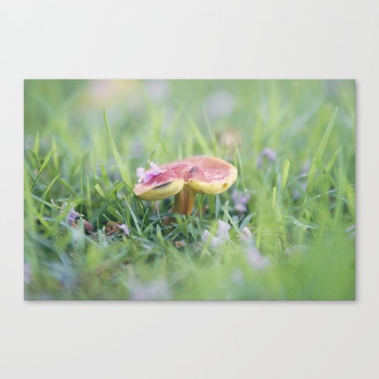 Dance of the Shroom Canvas Print