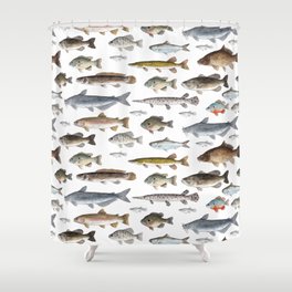 A Few Freshwater Fish Shower Curtain