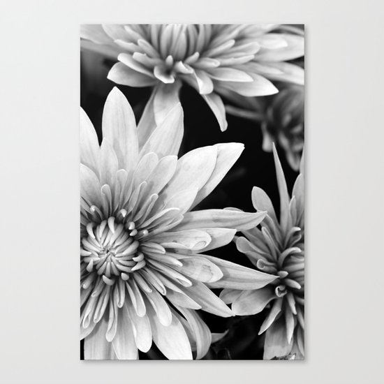 black and white flowers,. Canvas Print