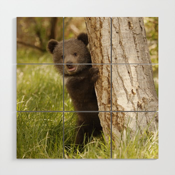 Cute Baby Grizzly Bear Cub Behind Tree In Green Spring Meadow Animal / Wildlife / Nature Photograph Wood Wall Art and More