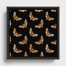 Death's Head Moth Framed Canvas