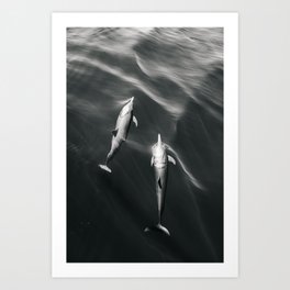 Dolphins II - BW Art Print
