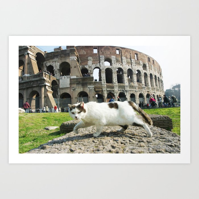 The Cat of the Colosseum Art Print