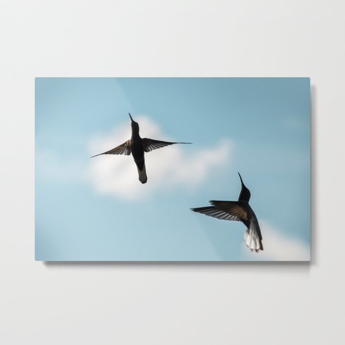Couple Birds Flying Metal Print