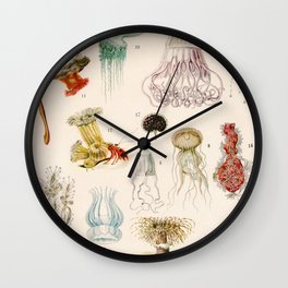 Adolphe Millot - Mollusques 02 - French vintage zoology illustration Wall Clock