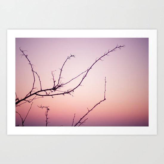 the dusk Art Print