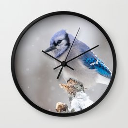 Blue Jay in the Snow Wall Clock