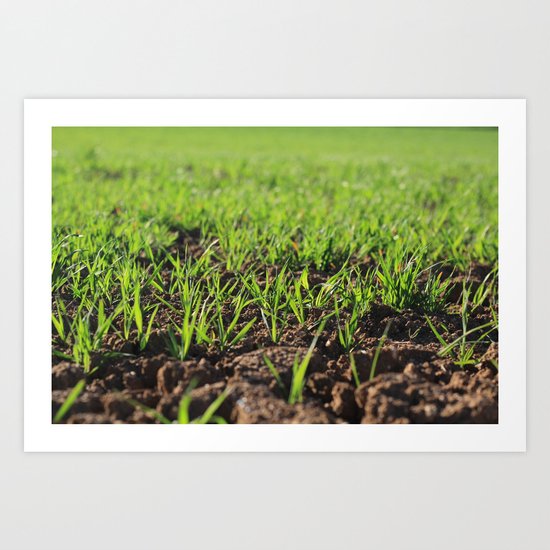 a day in... Art Print