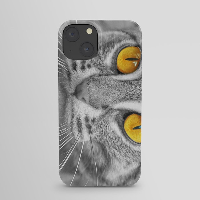 RUSTY SPOTTED CAT iPhone Case