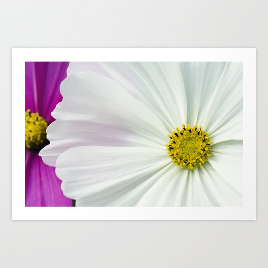 Sommerblumen Art Print