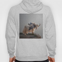 A yak in the Caucasus Mountains Hoody