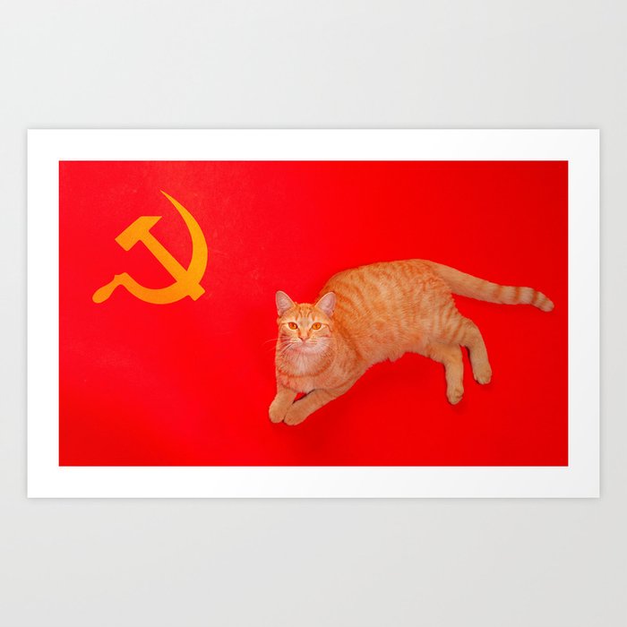 Tankie Skateboard Flag Art Print