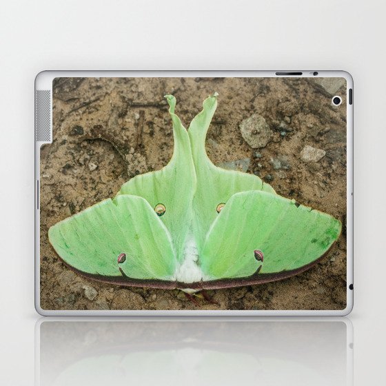Luna Moth Laptop & iPad Skin