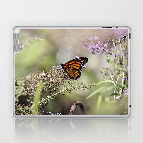 Monarch Butterfly Laptop & iPad Skin