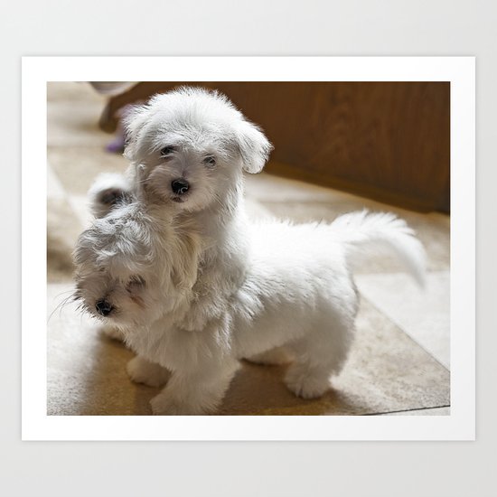 What? Do I have to stop! Art Print