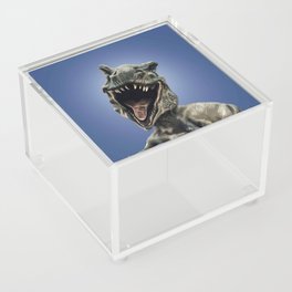 Smiling Dinosaur Selfie Acrylic Box