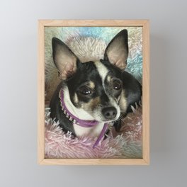 Chihuahua Framed Mini Art Print